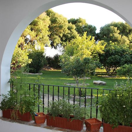 Cortijo El Indiviso Guest House Vejer de la Frontera Room photo
